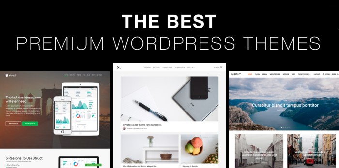 How to choose the best premium wordpress theme for your site