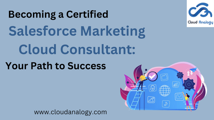 Unlock your marketing potential with a salesforce marketing consultant