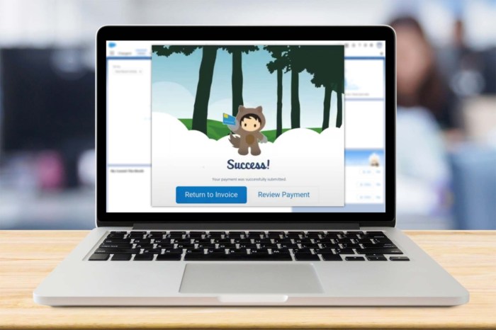 Streamline billing salesforce billing