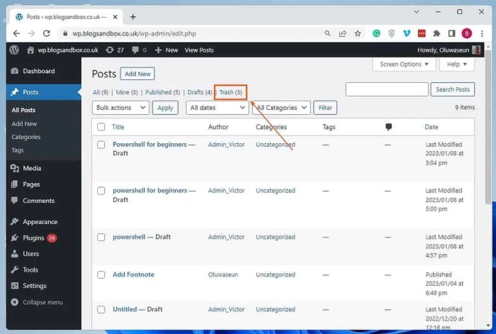 How to limit or disable automatic empty trash in wordpress