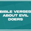 The making of visible experts a path for seller doers in a e c