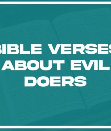 The making of visible experts a path for seller doers in a e c