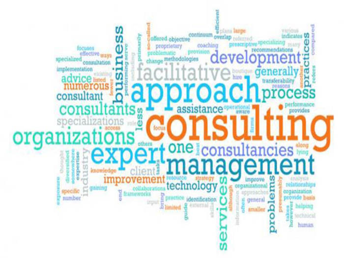 Business development ideas for management consultants1