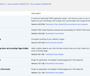 How to enable automatic updates in wordpress for major versions