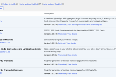 How to enable automatic updates in wordpress for major versions