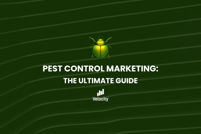 How to dominate pest control marketing with facebook instagram and linkedin