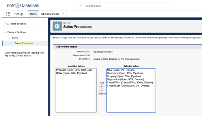 Salesforce sales process business growth