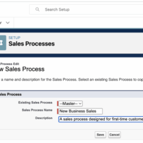Salesforce sales process business growth