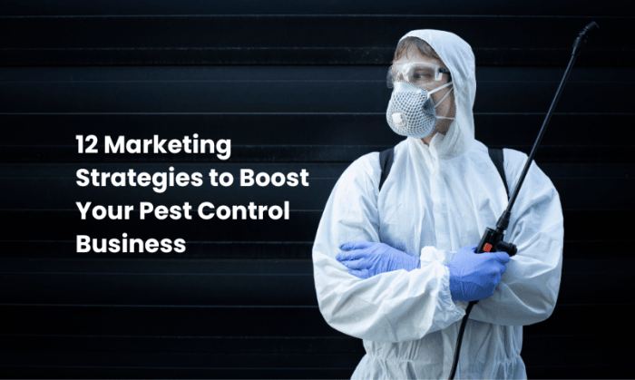 Pest control email marketing tips and strategies