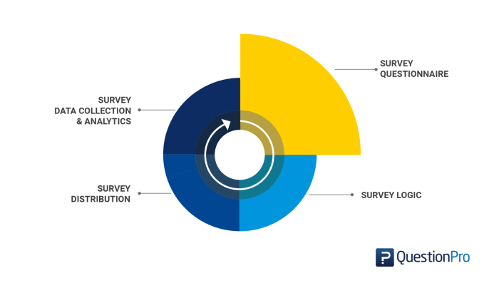 Questionnaire Vs Survey Is There A Difference Questionpro - Surveys ... In depth interviews vs online surveys a marketing directors guide for brand