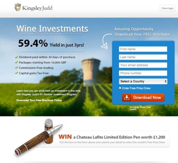 The no bs guide to conversion optimized landing pages