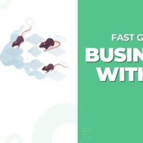 Pest control email marketing tips and strategies