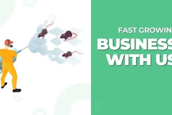 Pest control email marketing tips and strategies