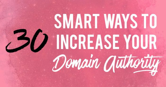 Domain authority what is it and how to increase it