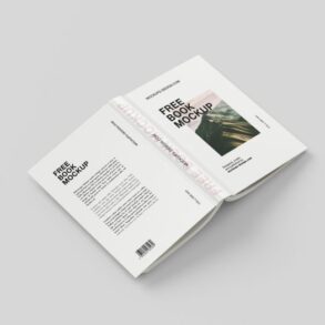 New book introduction to inside the buyers brain