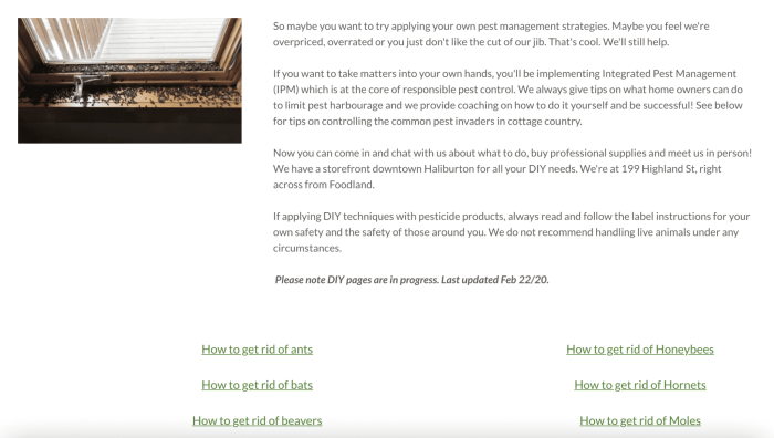 Pest control website best practices