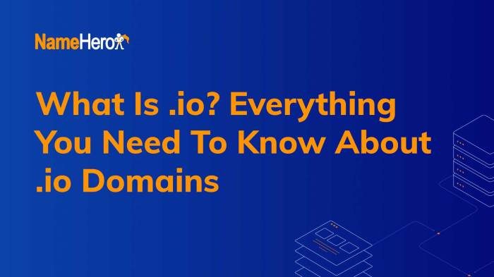 Are io domains safe for seo