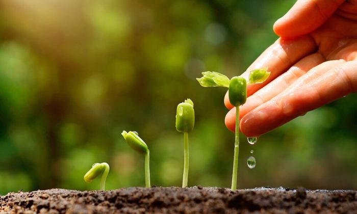 Lead b2b nurturing workflows practices best inbound marketing leads how engaging effective qualify tips help over time will acc fanned