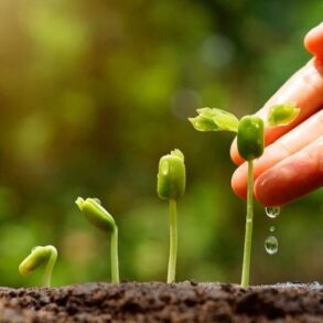 Lead b2b nurturing workflows practices best inbound marketing leads how engaging effective qualify tips help over time will acc fanned