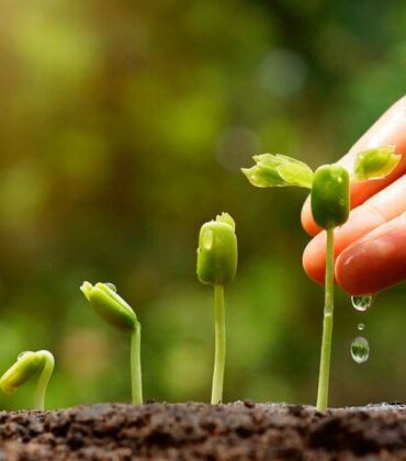 Lead b2b nurturing workflows practices best inbound marketing leads how engaging effective qualify tips help over time will acc fanned