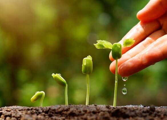 Lead b2b nurturing workflows practices best inbound marketing leads how engaging effective qualify tips help over time will acc fanned