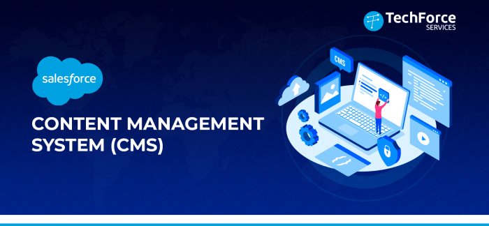 Unlocking the power of salesforce cms the key to content management success