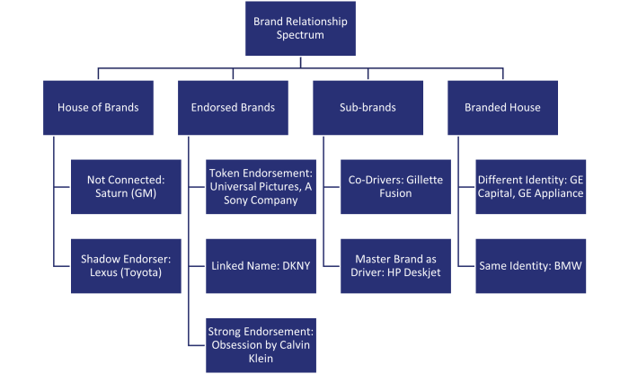Brand architecture options for aec firms