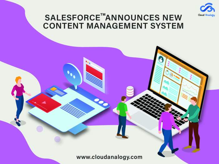Unlocking the power of salesforce cms the key to content management success