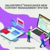 Unlocking the power of salesforce cms the key to content management success