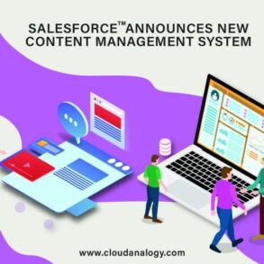 Unlocking the power of salesforce cms the key to content management success