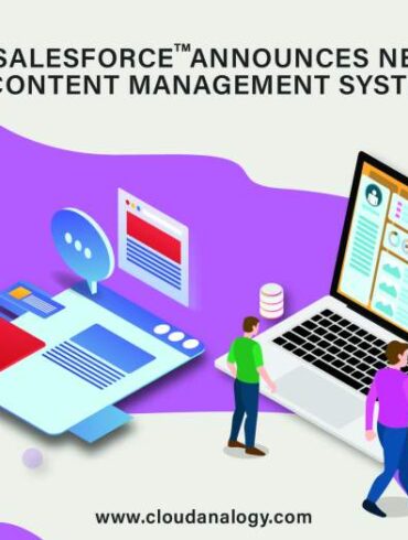 Unlocking the power of salesforce cms the key to content management success