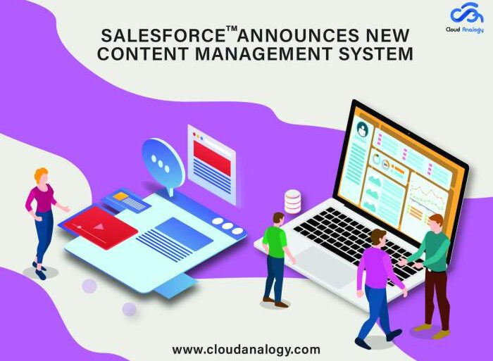 Unlocking the power of salesforce cms the key to content management success
