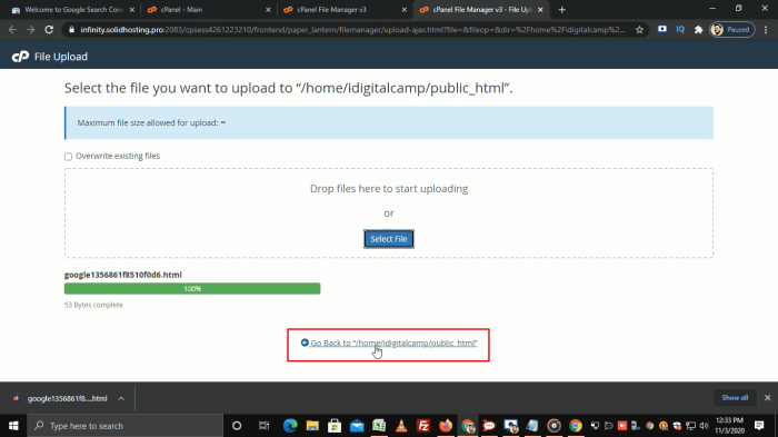 Search console domain properties