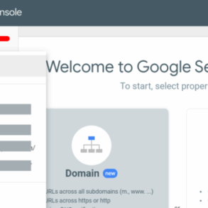 Search console domain properties