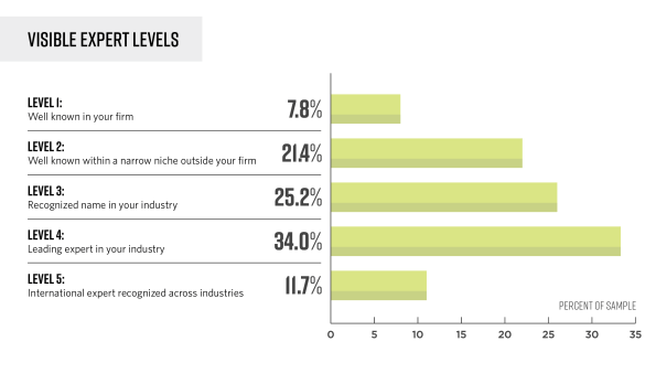 Becoming a visible expert8480