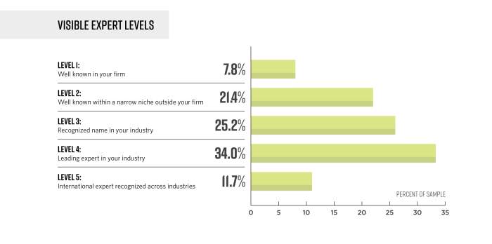 Becoming a visible expert8480