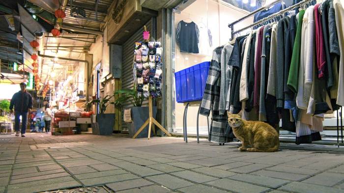 Understanding your target market applying the latest market research on professional services buyers