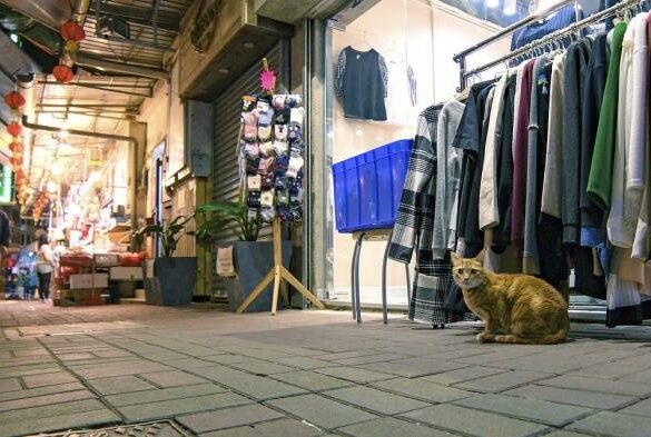 Understanding your target market applying the latest market research on professional services buyers