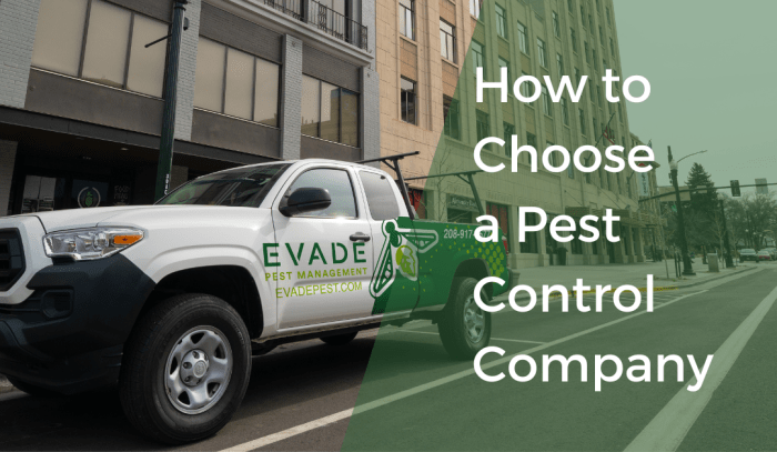Skyrocket pest control company online success