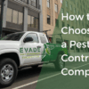 Skyrocket pest control company online success