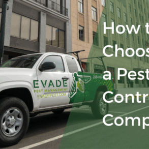 Skyrocket pest control company online success