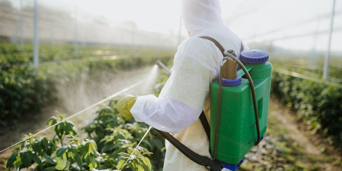 Skyrocket pest control company online success