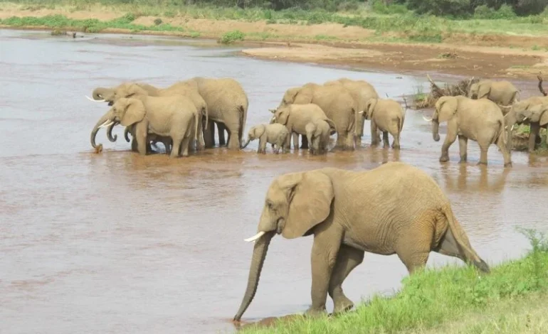 China-Based APT TA423 Resurfaces with Sophisticated Watering Hole Attacks Targeting Australian Organizations and Offshore Energy Firms