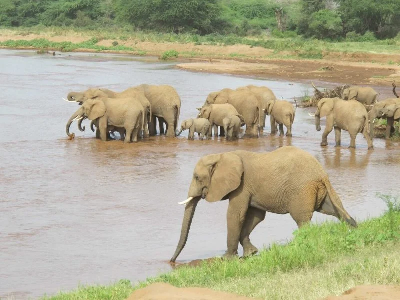 China-Based APT TA423 Resurfaces with Sophisticated Watering Hole Attacks Targeting Australian Organizations and Offshore Energy Firms