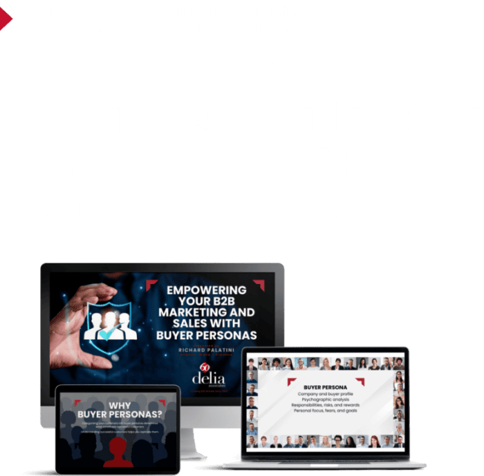 Persona development for professional services marketers